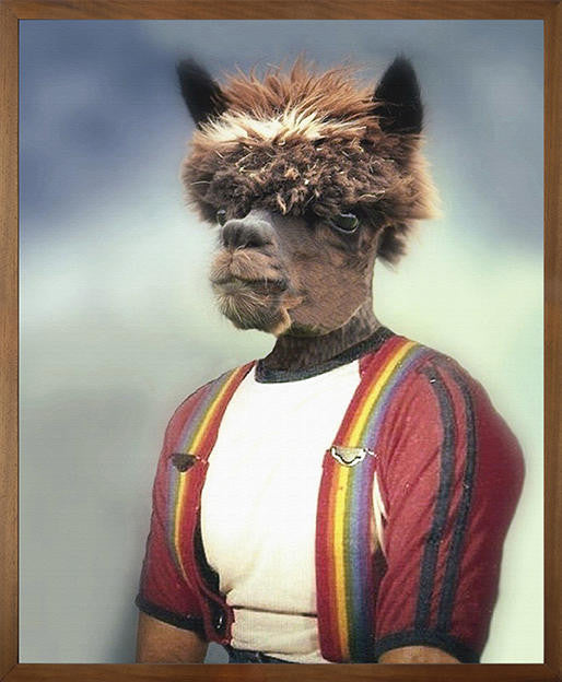 Angela Rossi Anthony Alpaca Canvas