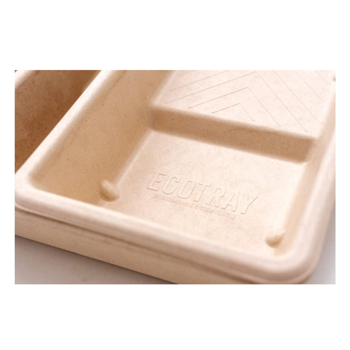 Biodegradable Paint Tray