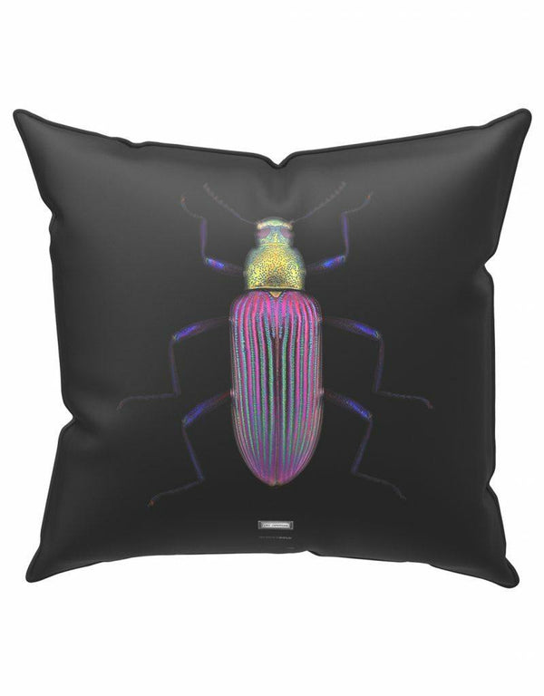 Emanuele Pangrazi Lady Cupripenne Cushion