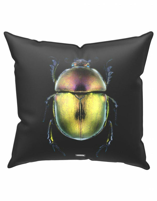 Emanuele Pangrazi Mr Geotrupes Cushion