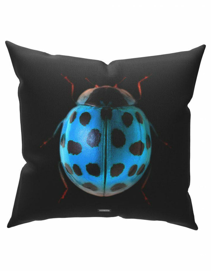 Emanuele Pangrazi Sir Ladybug Cushion