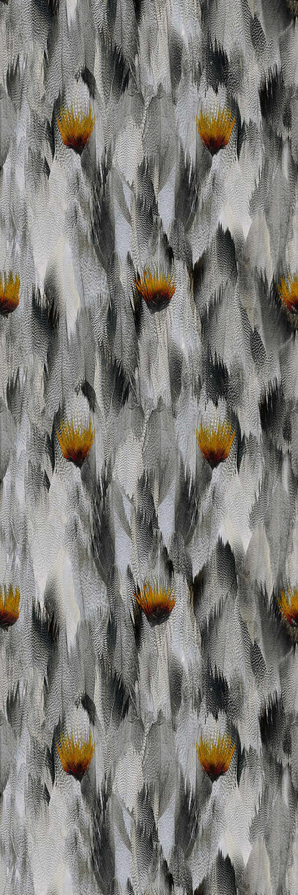 Kirin Young Natural Feathers Grey and Orange Wallpaper