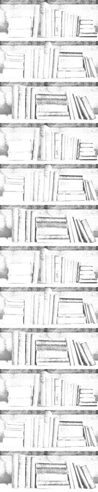 Young and Battaglia Almost White Photocopy Bookshelf Wallpaper