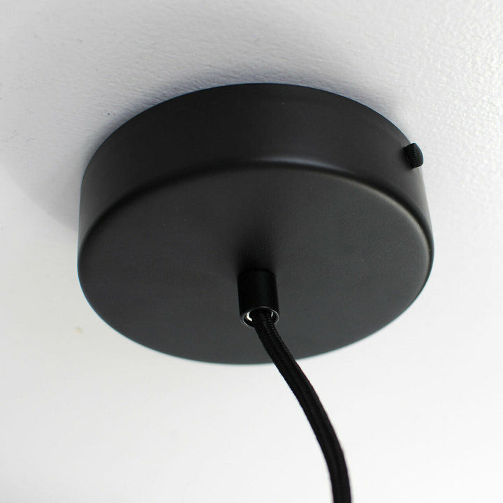 Young and Battaglia Black King Edison Pendant Lamp