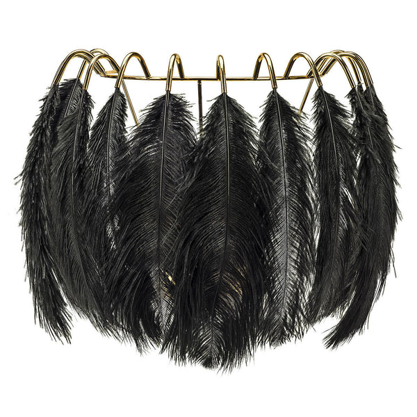 Young and Battaglia Feather Wall Lamp -Black