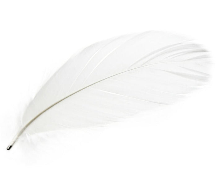 Young and Battaglia Magic Magnetic Feathers White