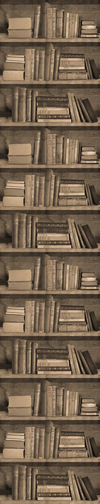 Young and Battaglia Sepia Bookshelf Wallpaper