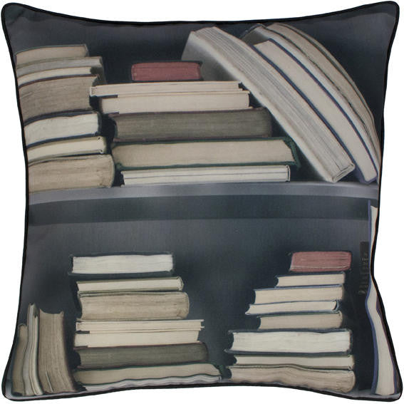 Young and Battaglia Vintage Bookshelf cushion